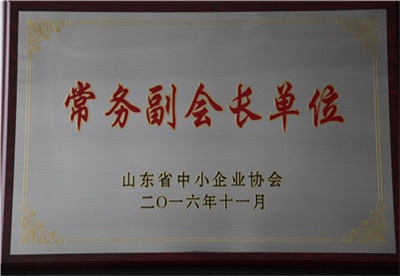 Executive Vice President Unit of Shandong SME Association