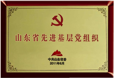 Shandong Advanced Grassroots Party Organization