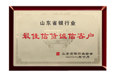 Shandong Credit Bank's Best Credit Integrity Client